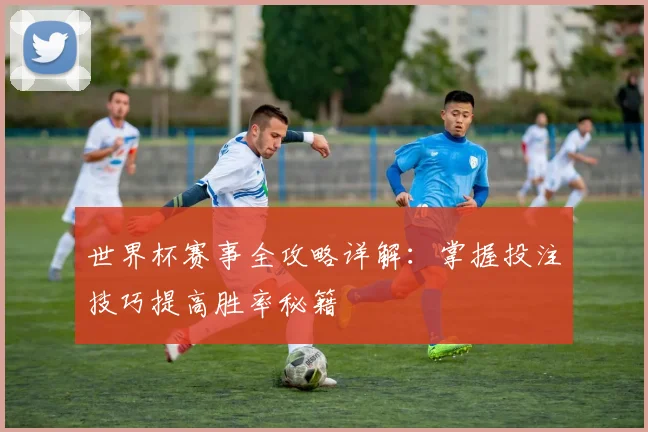 世界杯赛事全攻略详解：掌握投注技巧提高胜率秘籍
